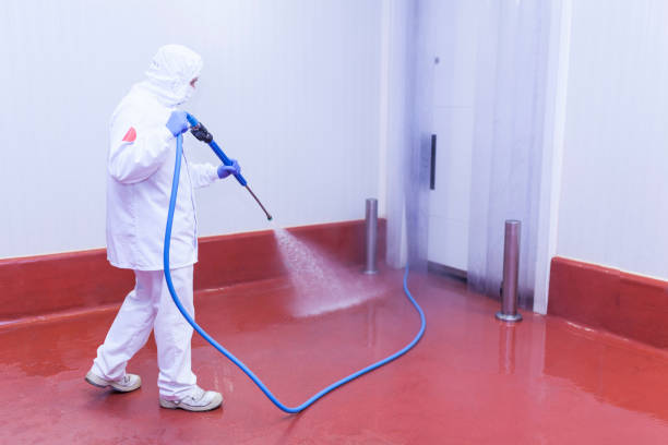 Best Concrete Sealing  in Lavon, TX