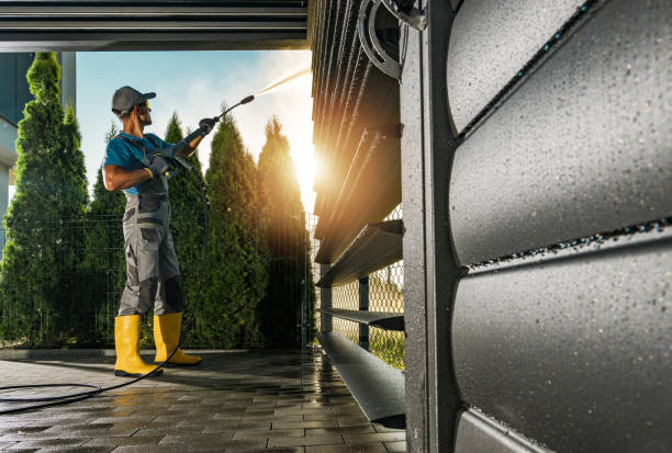 Best Driveway Pressure Washing  in Lavon, TX