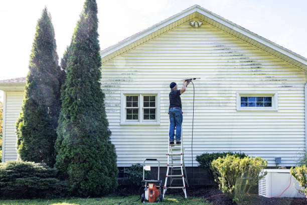 Professional Pressure Washing in Lavon, TX